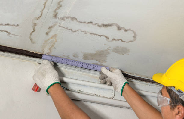 Reliable Mold Remediation contractor in Ellijay, GA by Water Damage Irwin